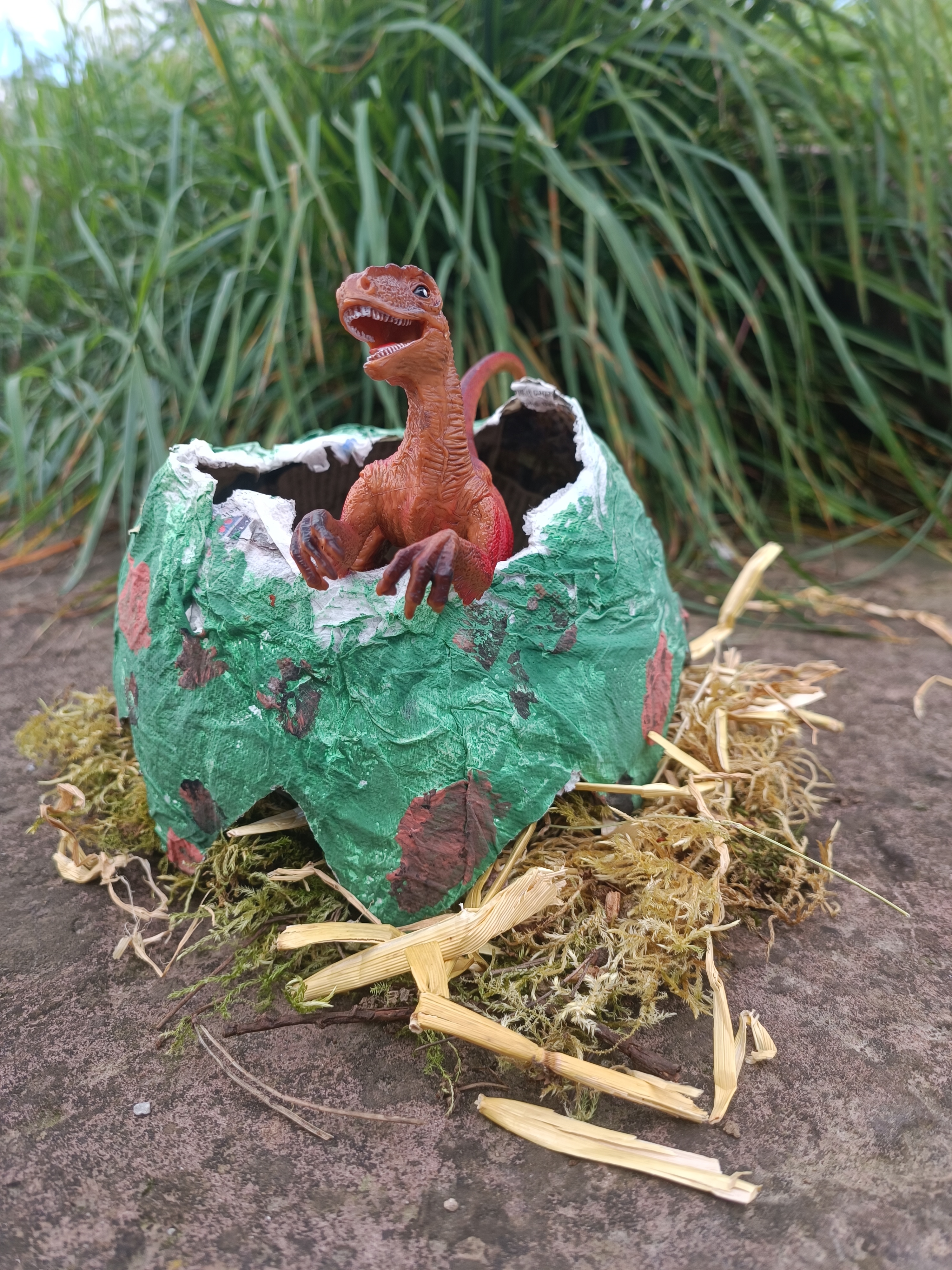 dinoei-nest-nah-gras.jpg