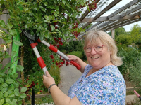 Workshop: Gehölzschnitt im Garten 