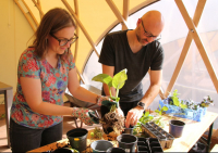 Workshop: Gartenpflanzen vermehren 